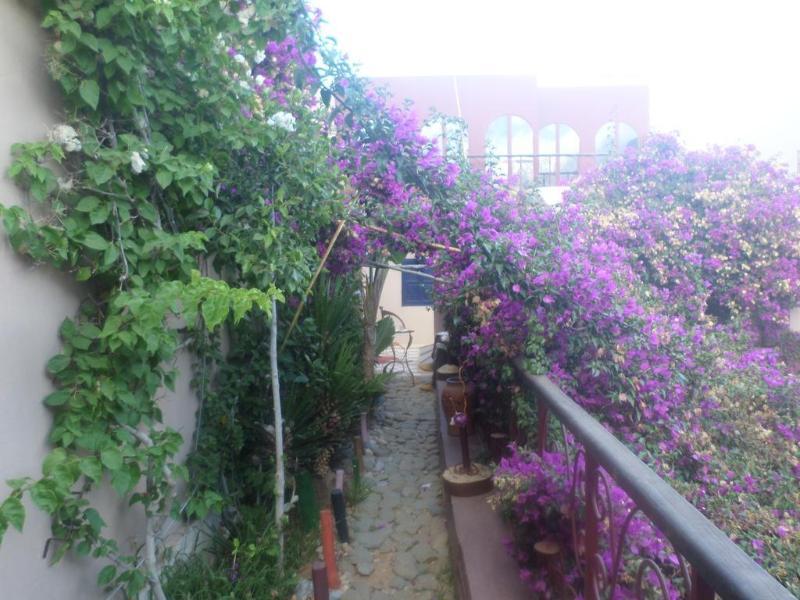 فندق رياض لو ليو تزنيت‎ المظهر الخارجي الصورة